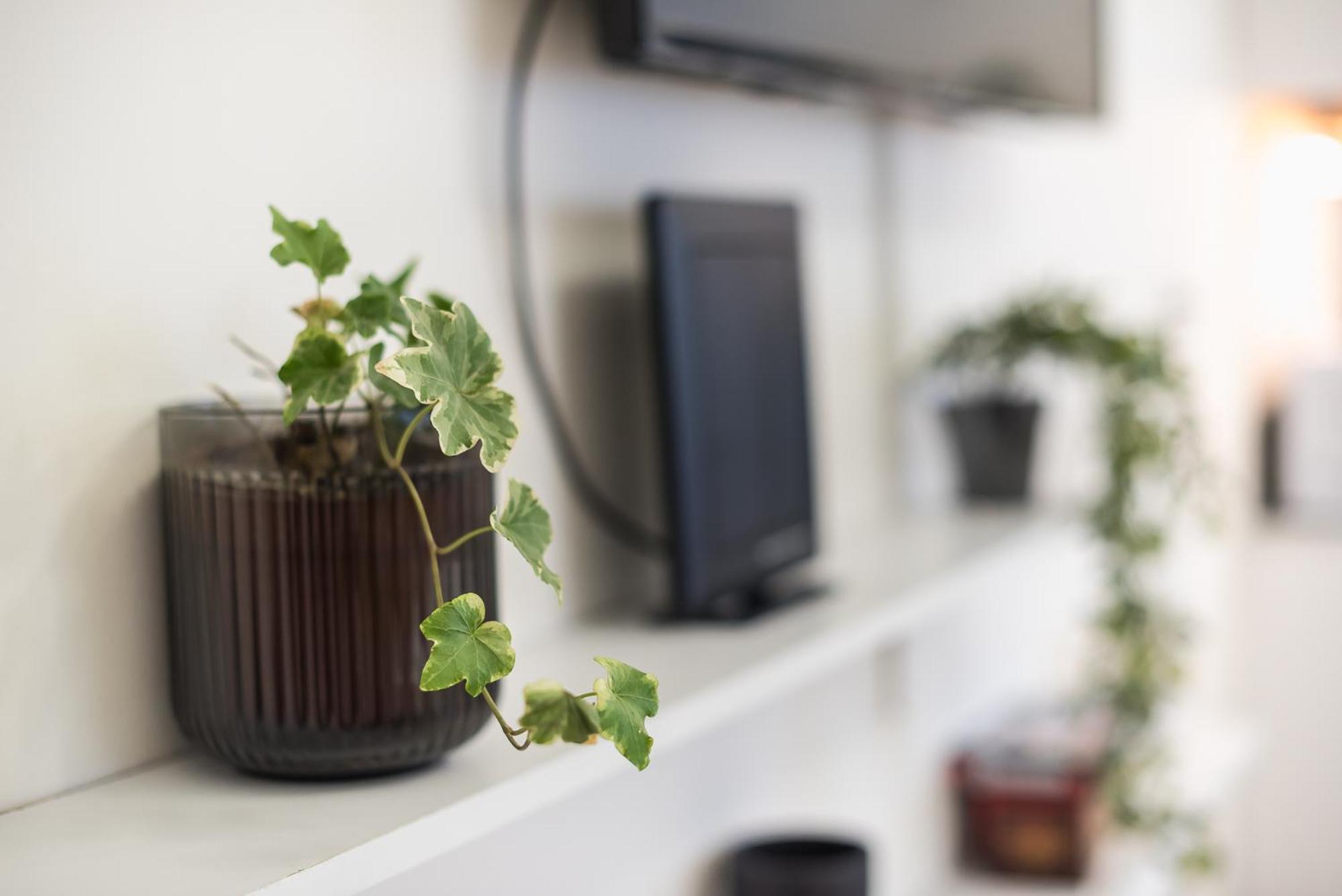 Modern Apartment 200M From Acropolis 100Mbps Netflix เอเธนส์ ภายนอก รูปภาพ