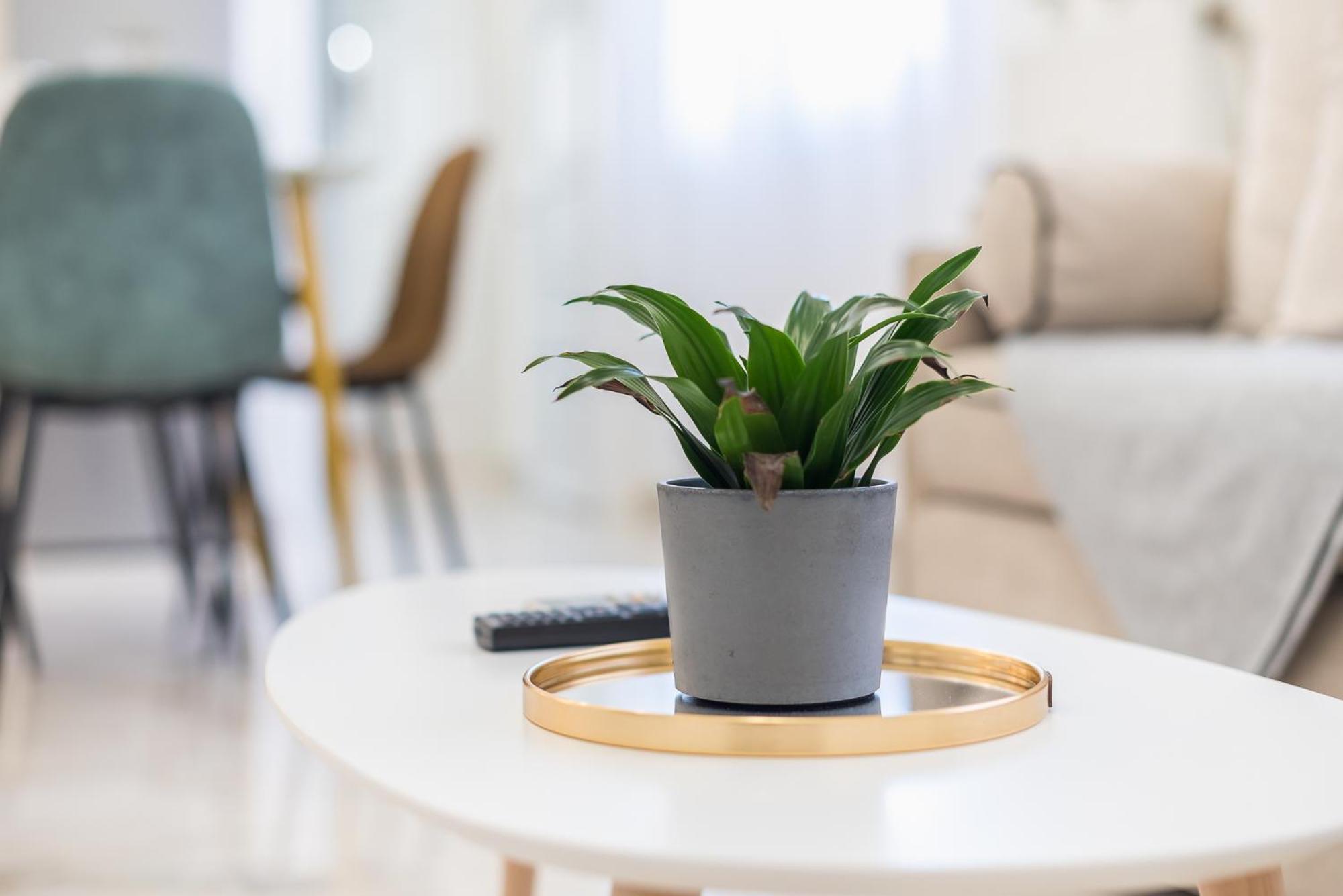 Modern Apartment 200M From Acropolis 100Mbps Netflix เอเธนส์ ภายนอก รูปภาพ